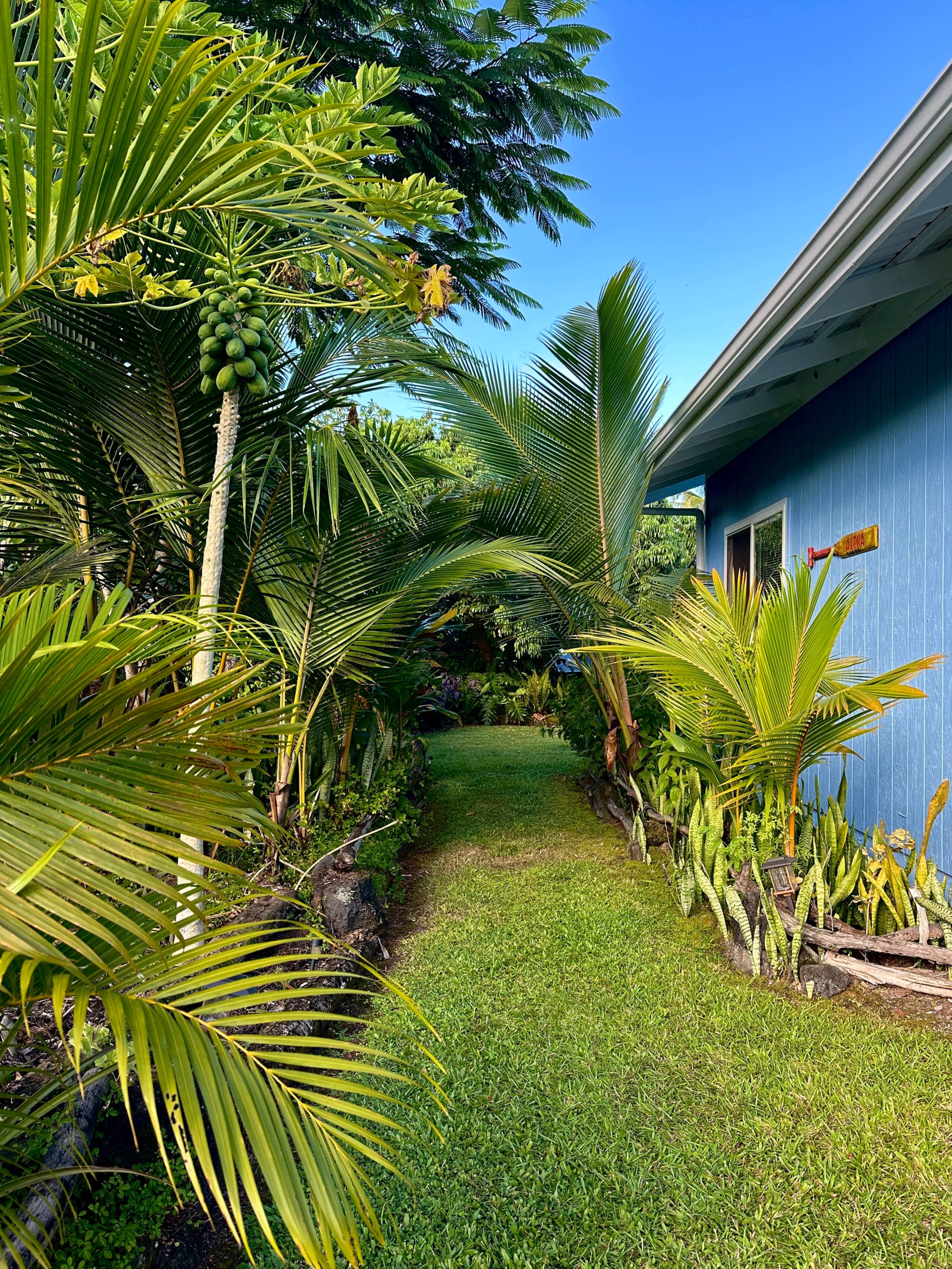 “Aloha Ohana”Tropical Garden, Peaceful Lanai, Pool - Photo 58