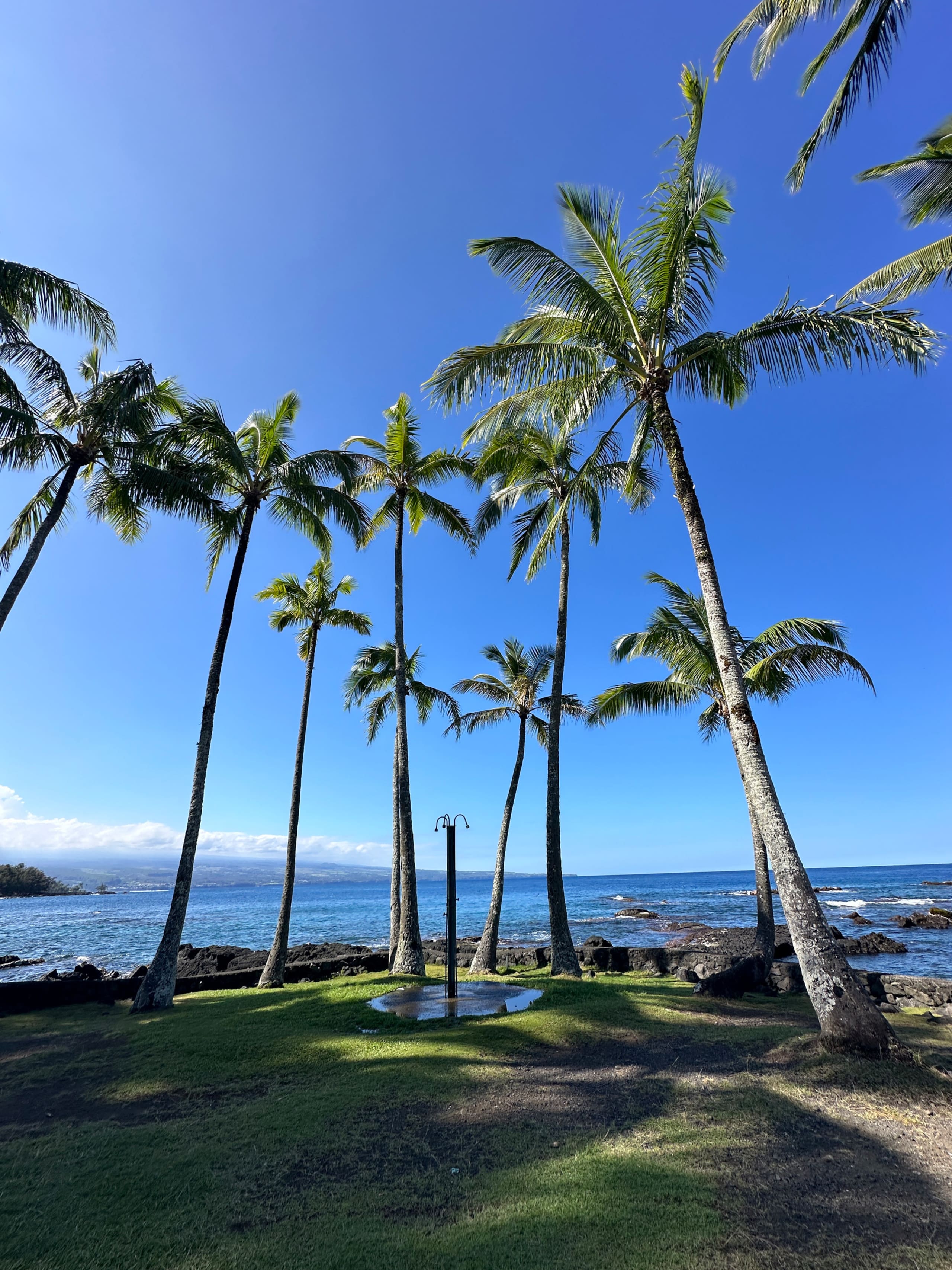“Aloha Ohana”Tropical Garden, Peaceful Lanai, Pool - Photo 70
