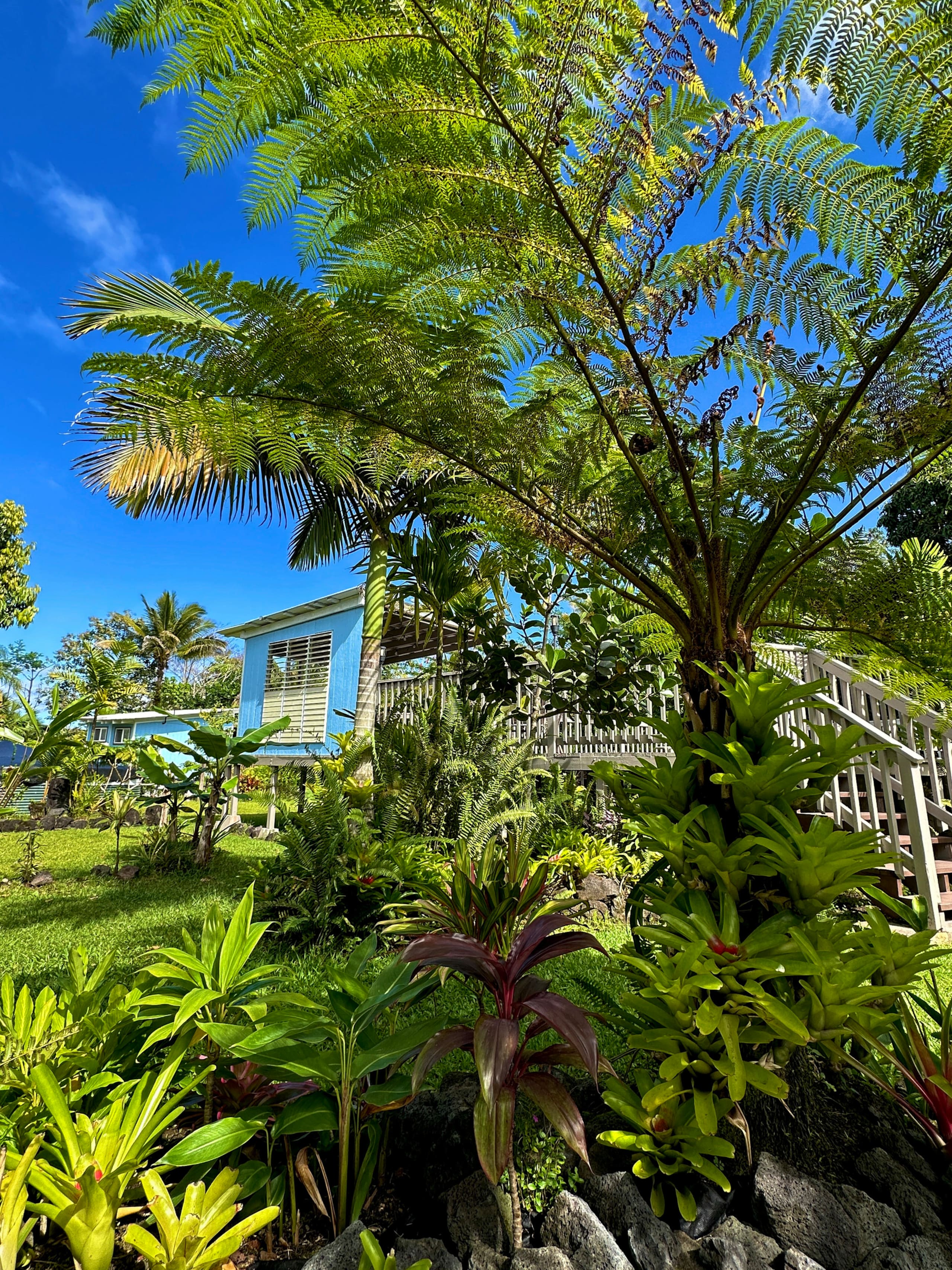 “Aloha Ohana”Tropical Garden, Peaceful Lanai, Pool - Photo 25