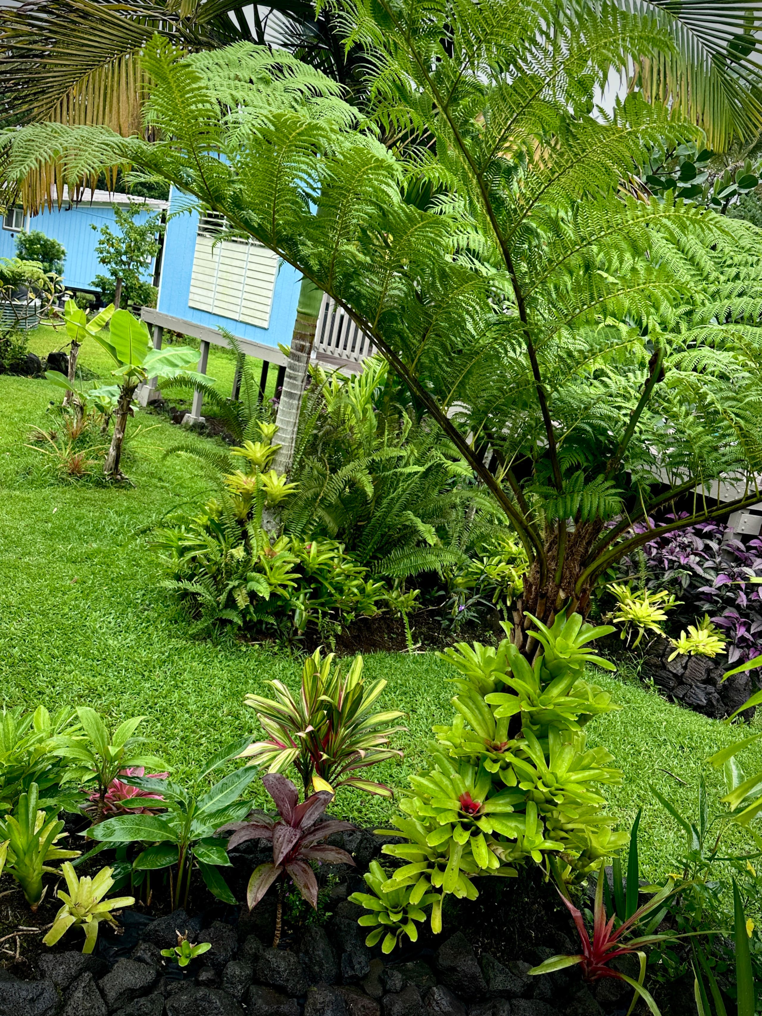 “Aloha Ohana”Tropical Garden, Peaceful Lanai, Pool - Photo 54