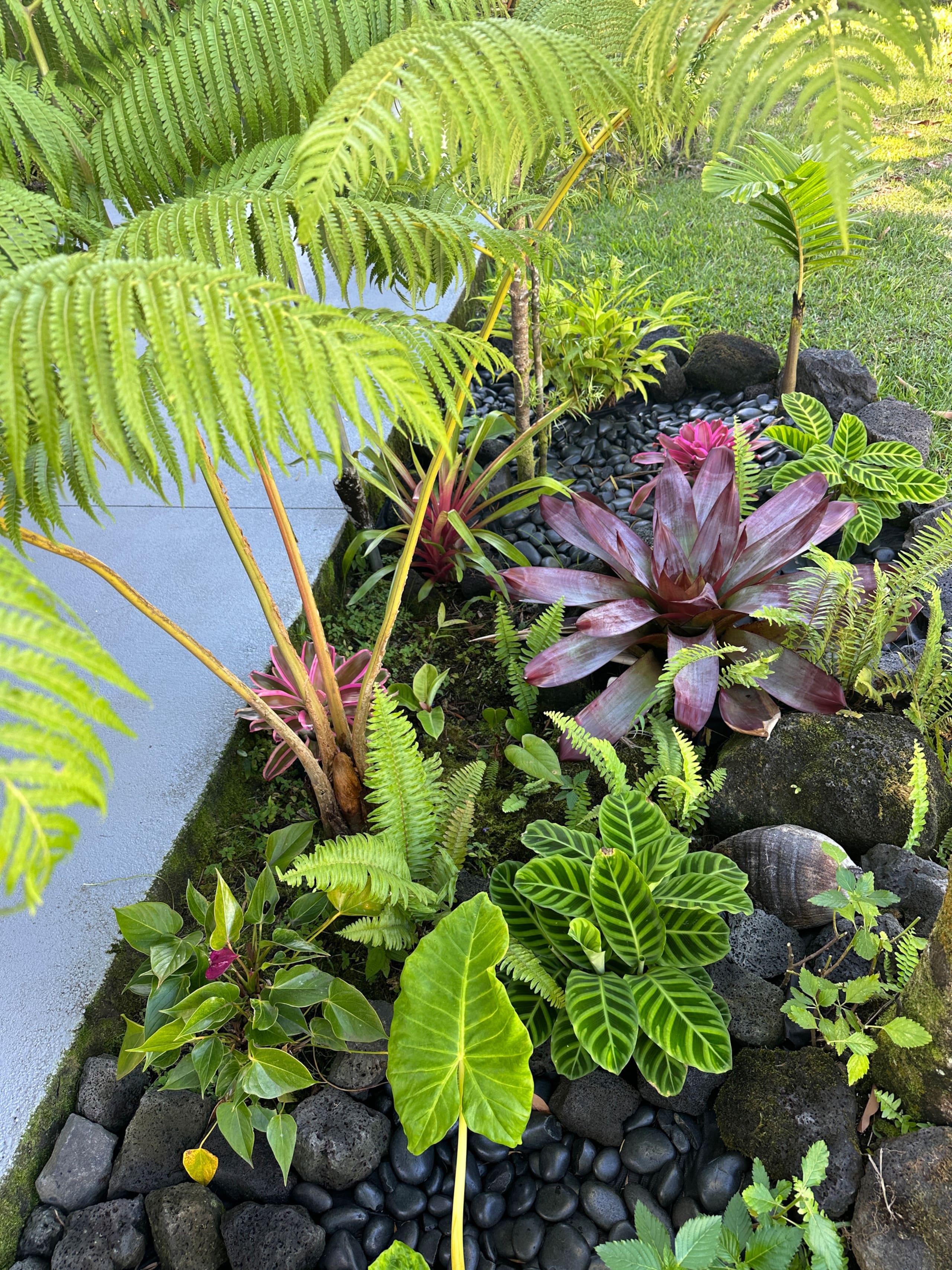 “Aloha Ohana”Tropical Garden, Peaceful Lanai, Pool - Photo 52