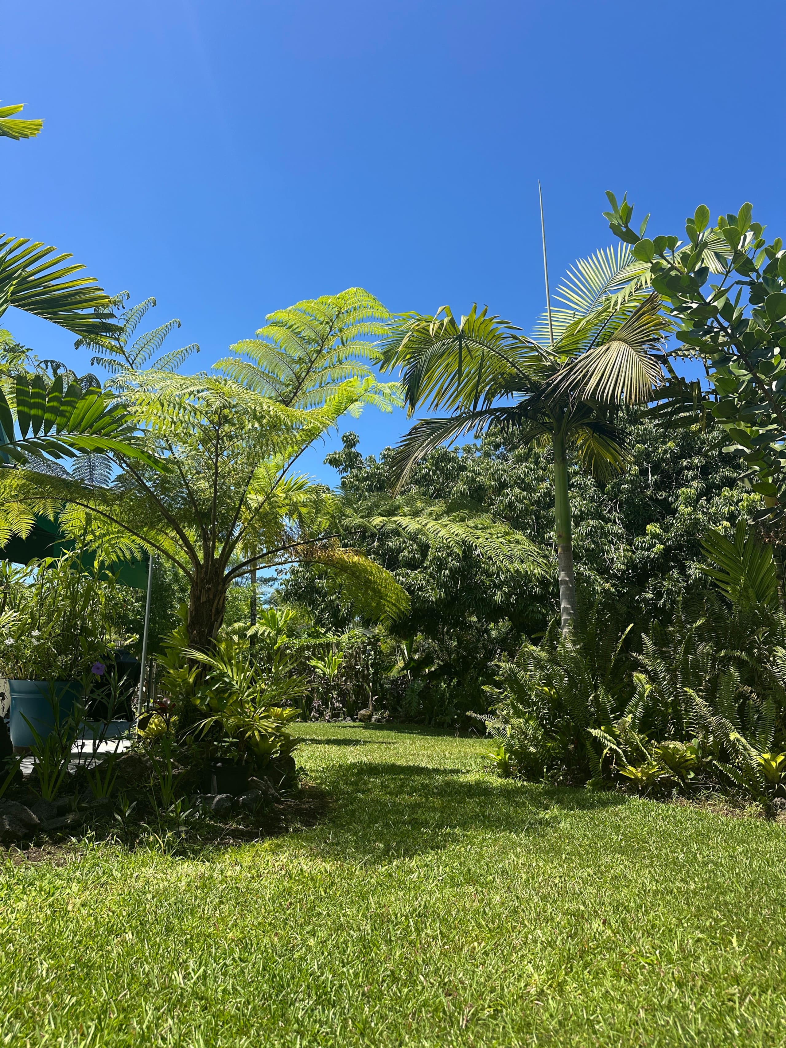 “Aloha Ohana”Tropical Garden, Peaceful Lanai, Pool - Photo 44