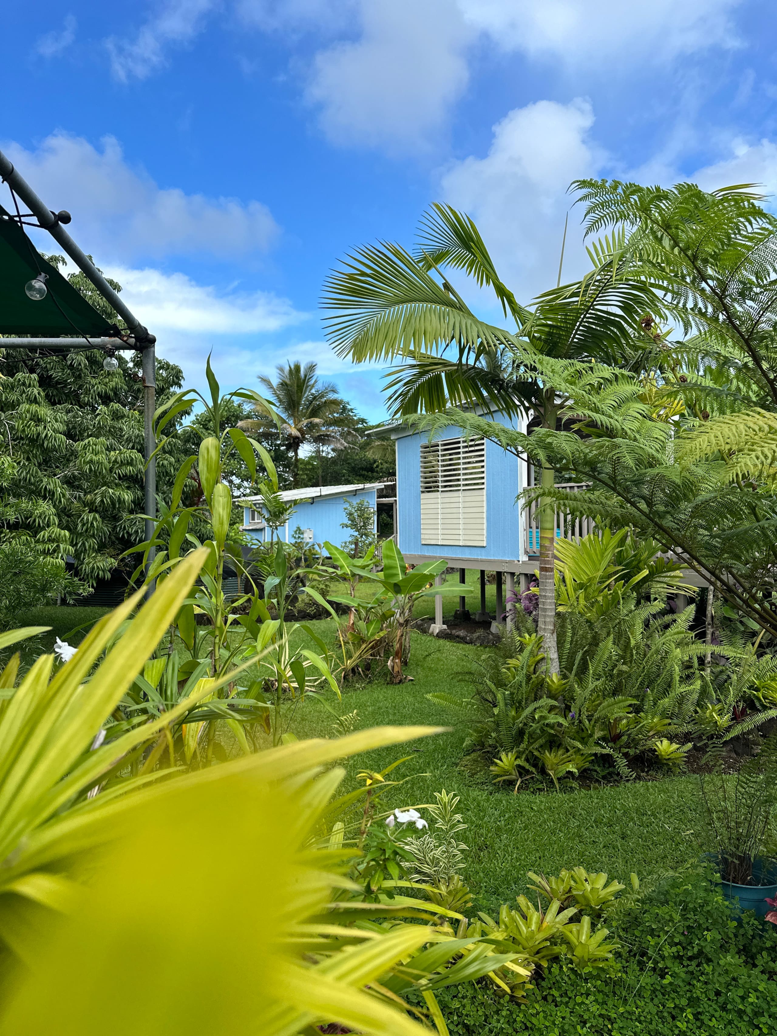 “Aloha Ohana”Tropical Garden, Peaceful Lanai, Pool - Photo 41