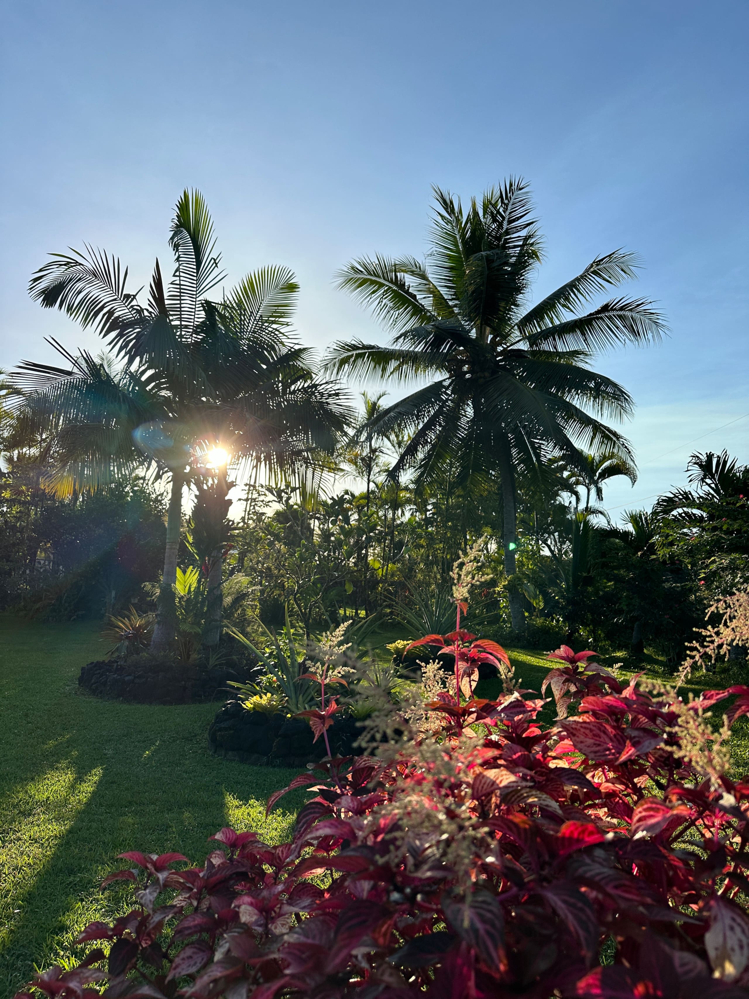 “Aloha Ohana”Tropical Garden, Peaceful Lanai, Pool - Photo 64