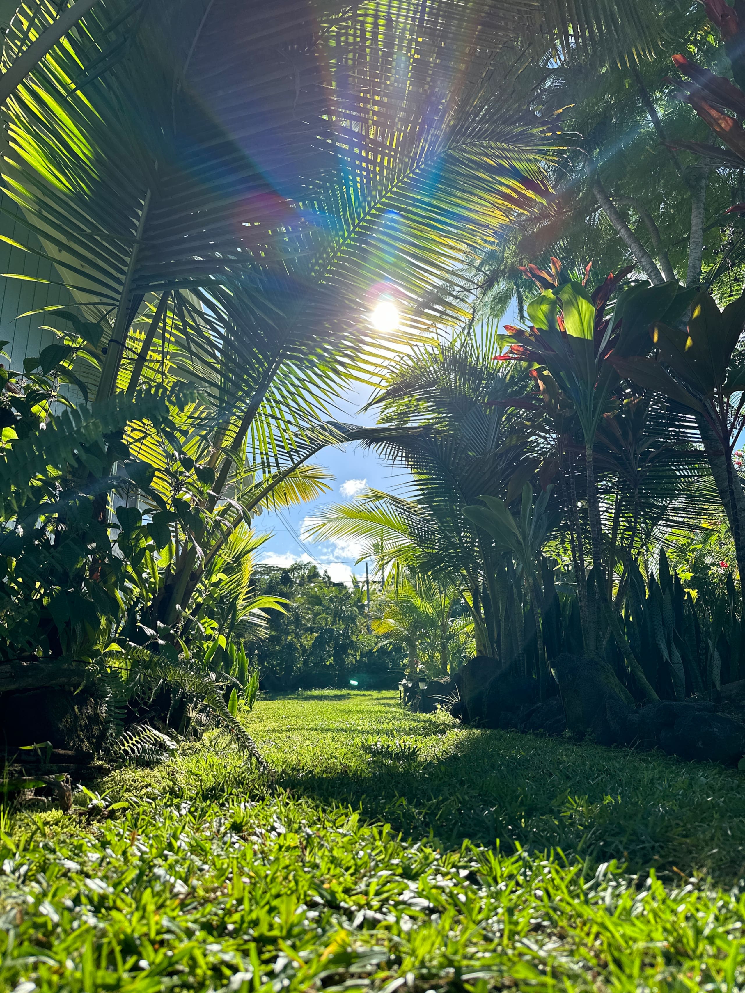 “Aloha Ohana”Tropical Garden, Peaceful Lanai, Pool - Photo 43