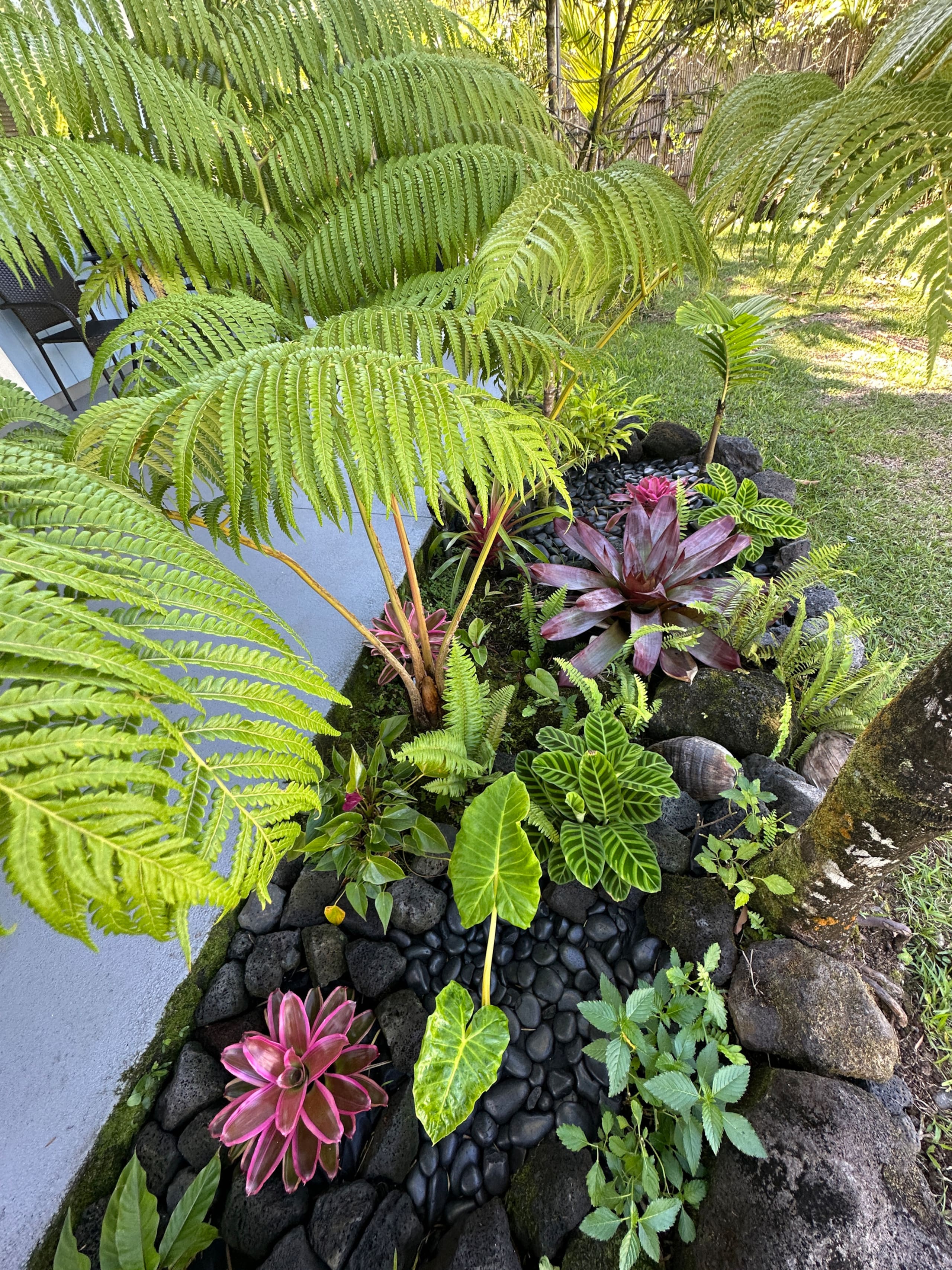 “Aloha Ohana”Tropical Garden, Peaceful Lanai, Pool - Photo 60