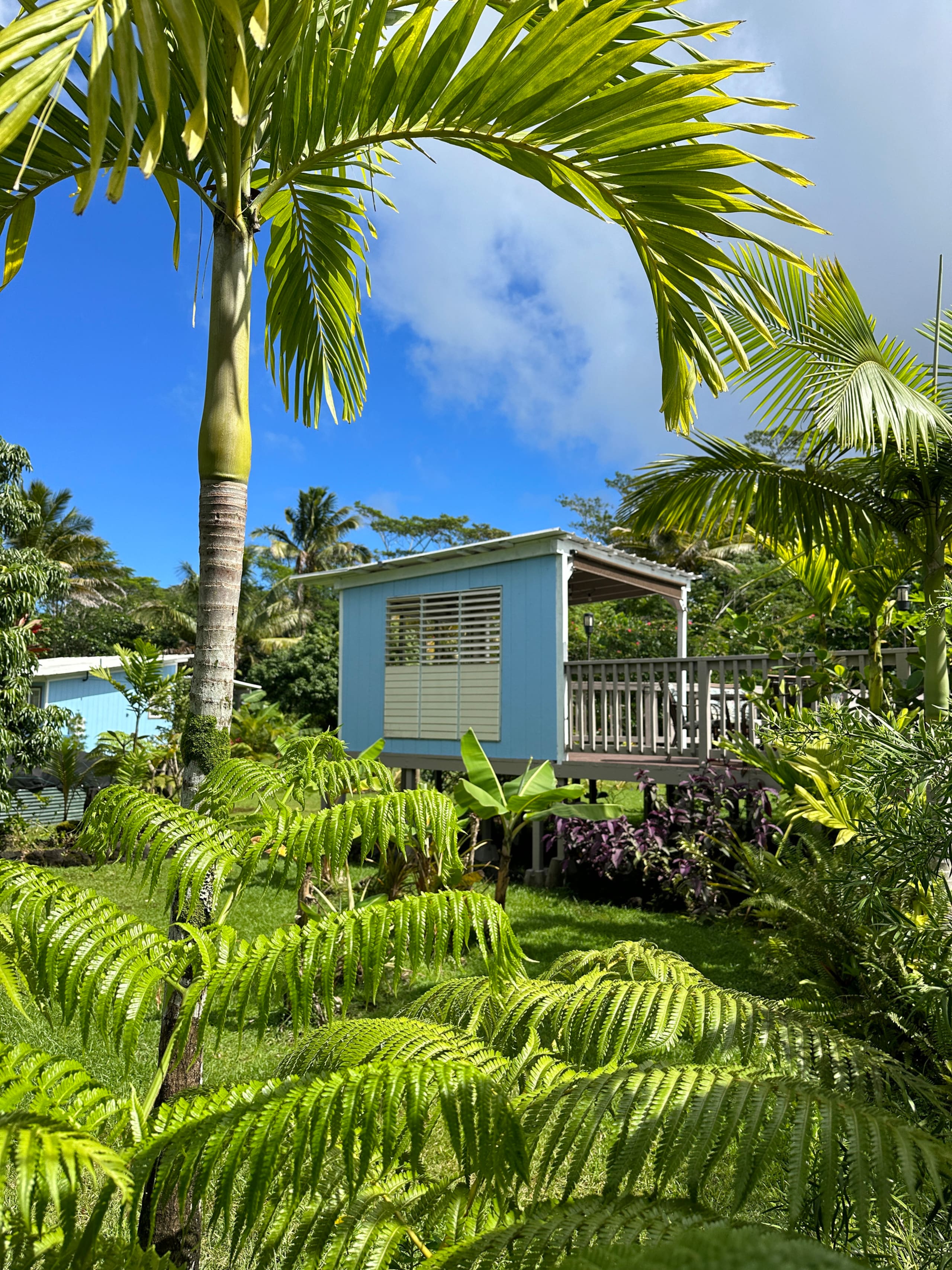 “Aloha Ohana”Tropical Garden, Peaceful Lanai, Pool - Photo 47