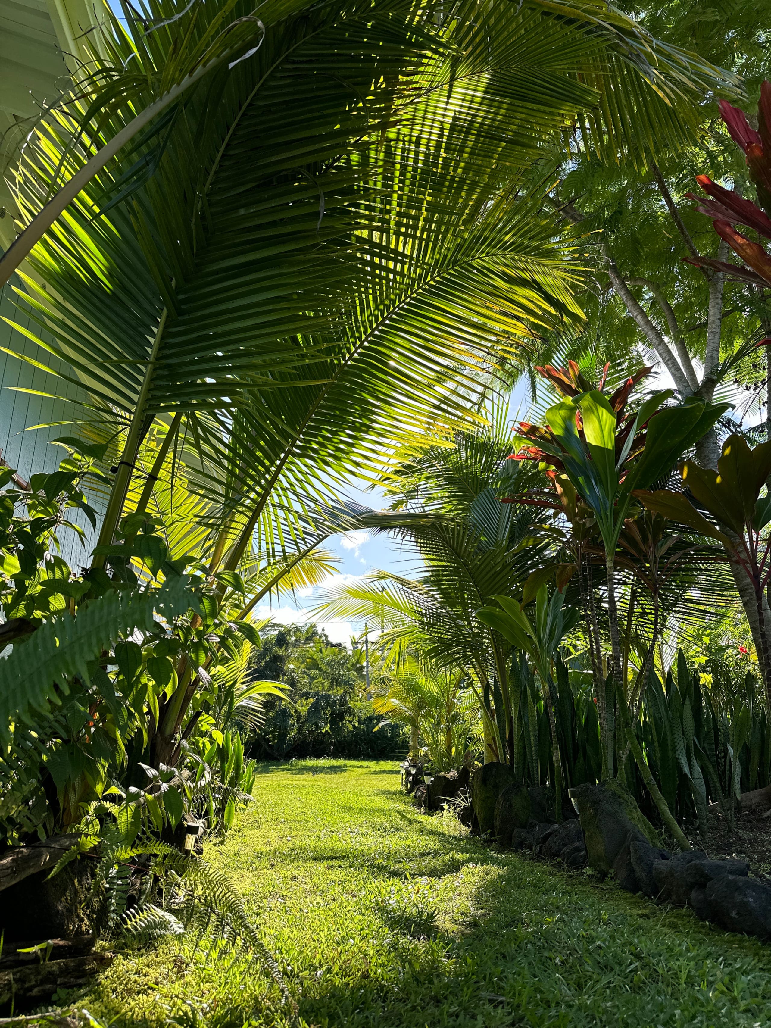 “Aloha Ohana”Tropical Garden, Peaceful Lanai, Pool - Photo 26