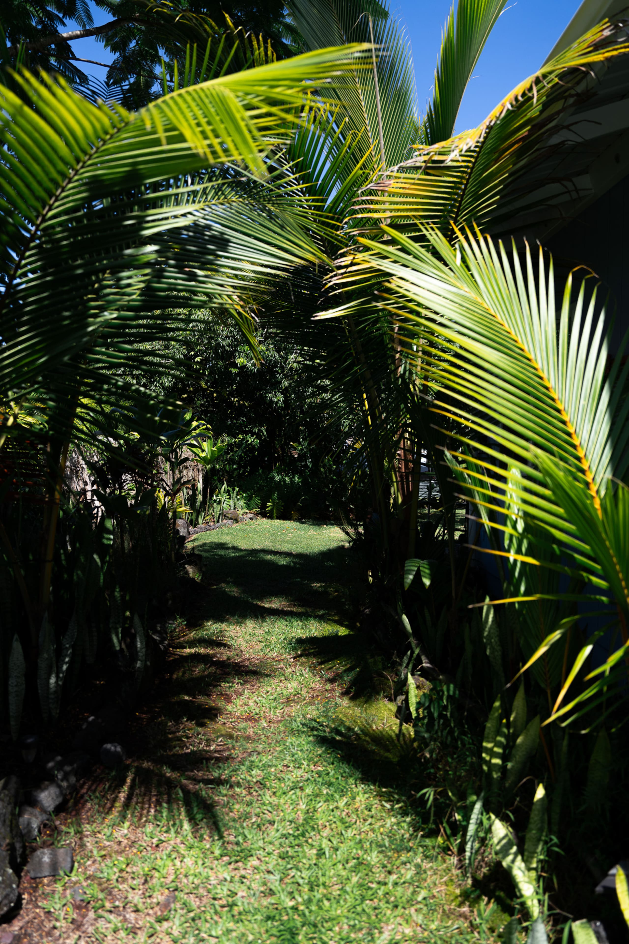 “Aloha Ohana”Tropical Garden, Peaceful Lanai, Pool - Photo 55