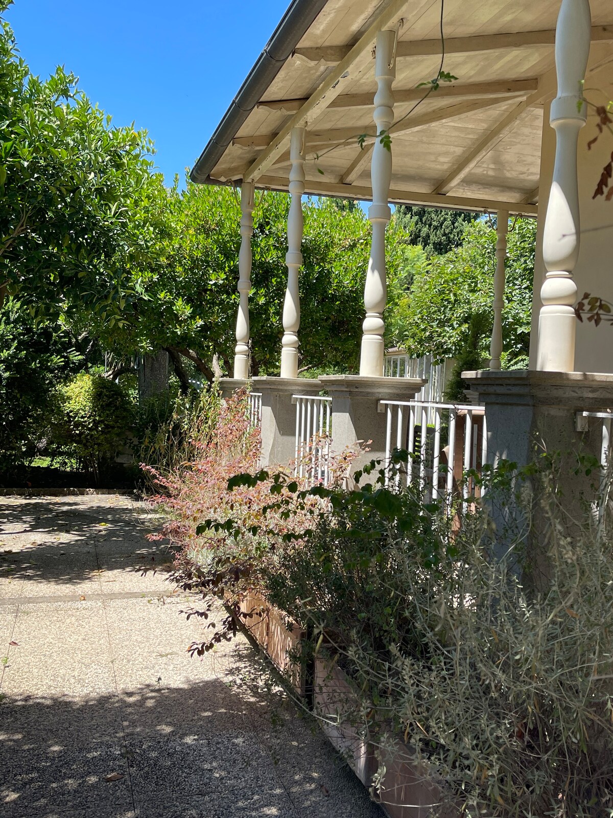 A charming veranda is framed by decorative pillars and overlooks a lush fruit garden. The surrounding greenery enhances the natural ambiance, while a stone pathway leads from the villa entrance, inviting relaxation in a serene outdoor setting.
