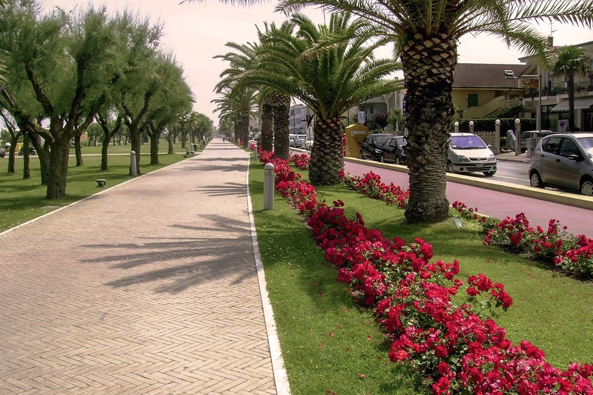 A landscaped promenade is lined with well-maintained palm trees and flowering bushes. Vibrant red flowers contrast with the lush green grass, while a paved walkway invites leisurely strolls. Vehicles are visible along the roadside, suggesting accessibility to nearby attractions.