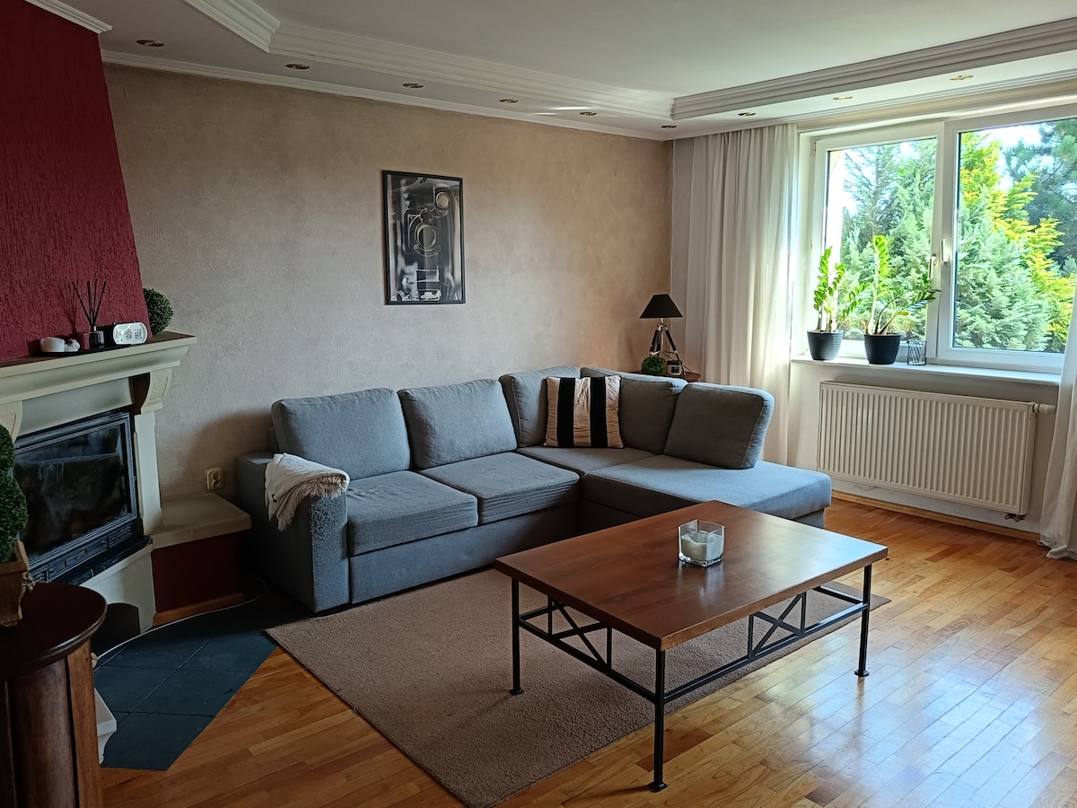 A spacious living area features a light grey sectional sofa positioned near a large window. Natural light highlights green plants situated in the window sill. A wooden coffee table rests on a soft area rug, complemented by a minimalist fireplace against the wall.