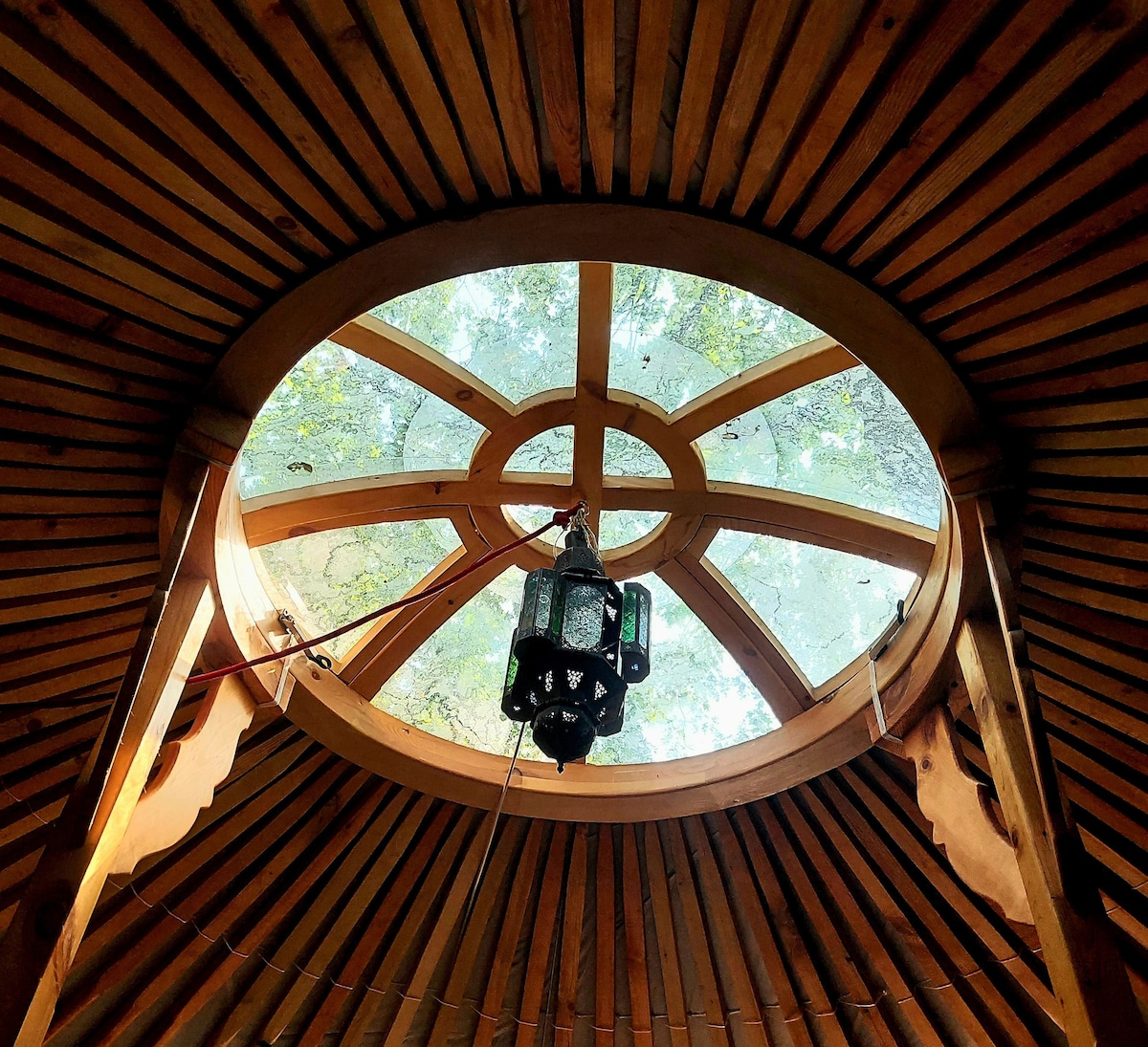 A skylight is featured at the center of the yurt, framed by wooden beams that radiate outward. A lantern hangs from the ceiling, providing a touch of warmth. The glass in the skylight allows views of the trees above, enhancing the connection to nature.