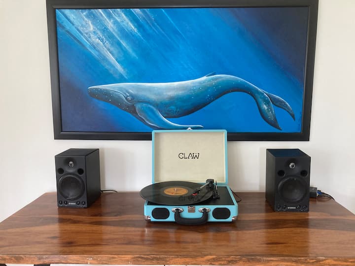 A turntable with a few LPs only for the experienced