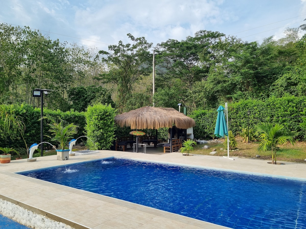 A serene outdoor space showcases a large swimming pool with gentle ripples. A thatched-roof gazebo provides shade, accompanied by a green umbrella and lounge chairs. Lush vegetation surrounds the area, enhancing the natural ambiance.