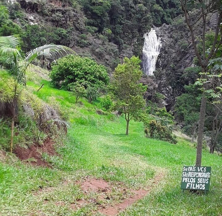 A lush green landscape is shown, featuring diverse trees and plants. A waterfall cascades in the background, providing a serene focal point. A sign is visible, indicating its importance to the visitors. The area is surrounded by natural beauty, enhancing the tranquil atmosphere.