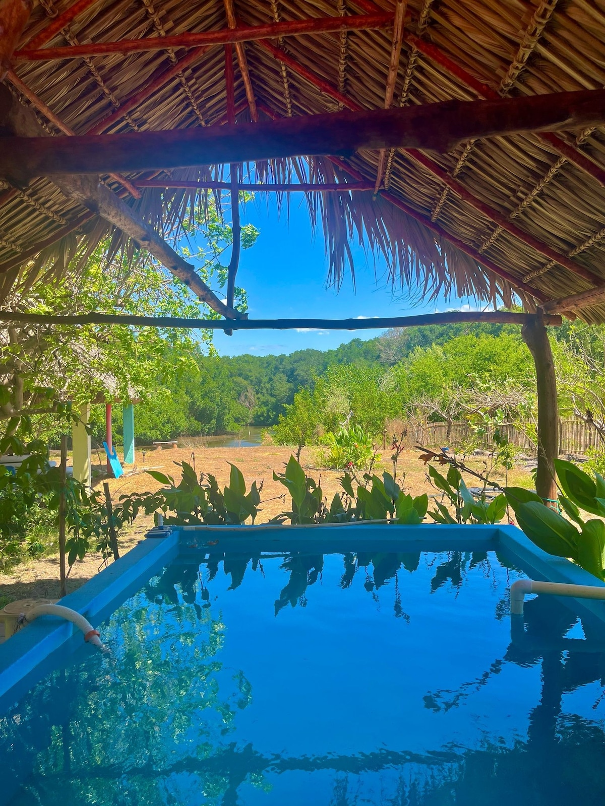 A serene view from a thatched roof structure showcases a clear blue pool surrounded by lush greenery. The calm water reflects the bright blue sky and nearby hills, creating a peaceful atmosphere. The tranquil setting offers a glimpse of nature and a sense of relaxation.