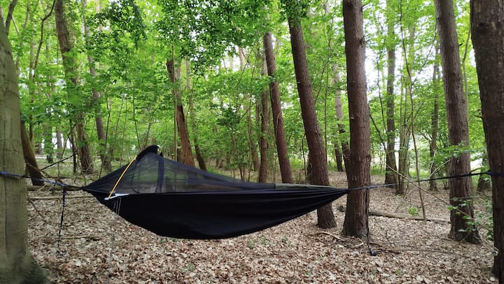Baumzelt Hängematte Im Wald - Lübeck