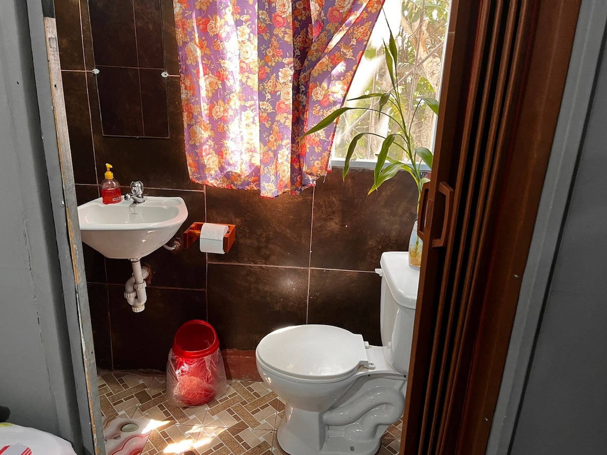A small bathroom is displayed, featuring a toilet and a sink positioned against a dark tiled wall. Colorful curtains hang by a window, allowing natural light to enter. A potted plant adds a touch of greenery to the space, while cleaning supplies are neatly arranged.