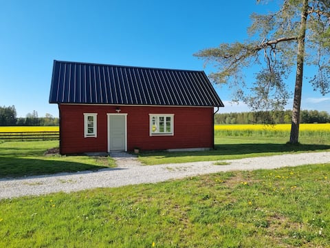 Cabin in Väte