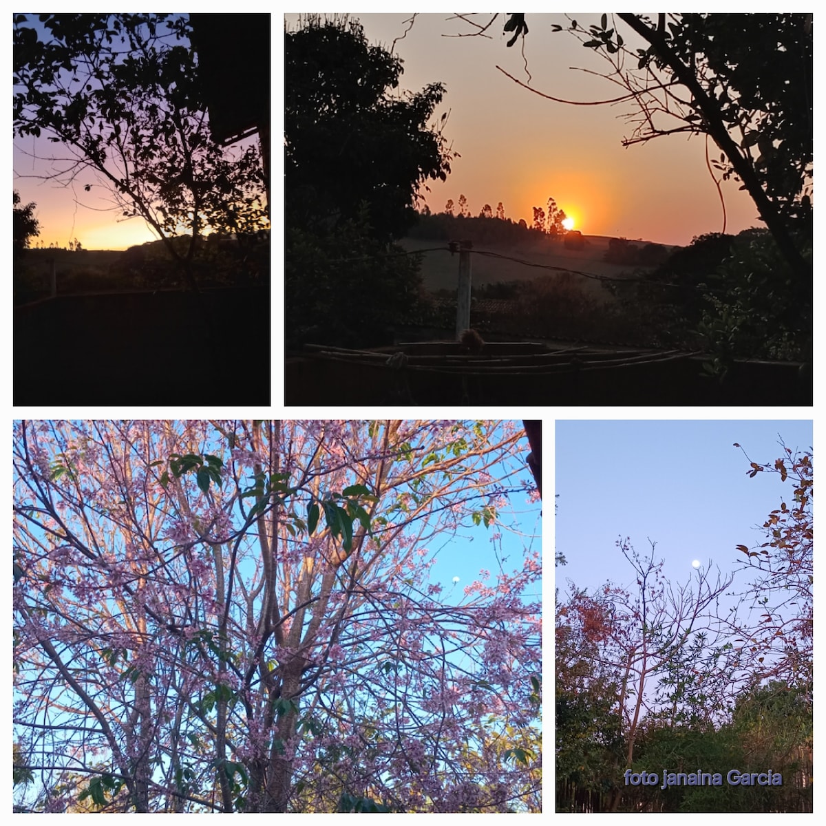 A collage of serene landscapes features a sunset casting soft hues over hills, a blooming tree with delicate flowers, and a clear sky with a crescent moon. Lush greenery surrounds the scenes, enhancing the tranquil atmosphere of the natural setting.