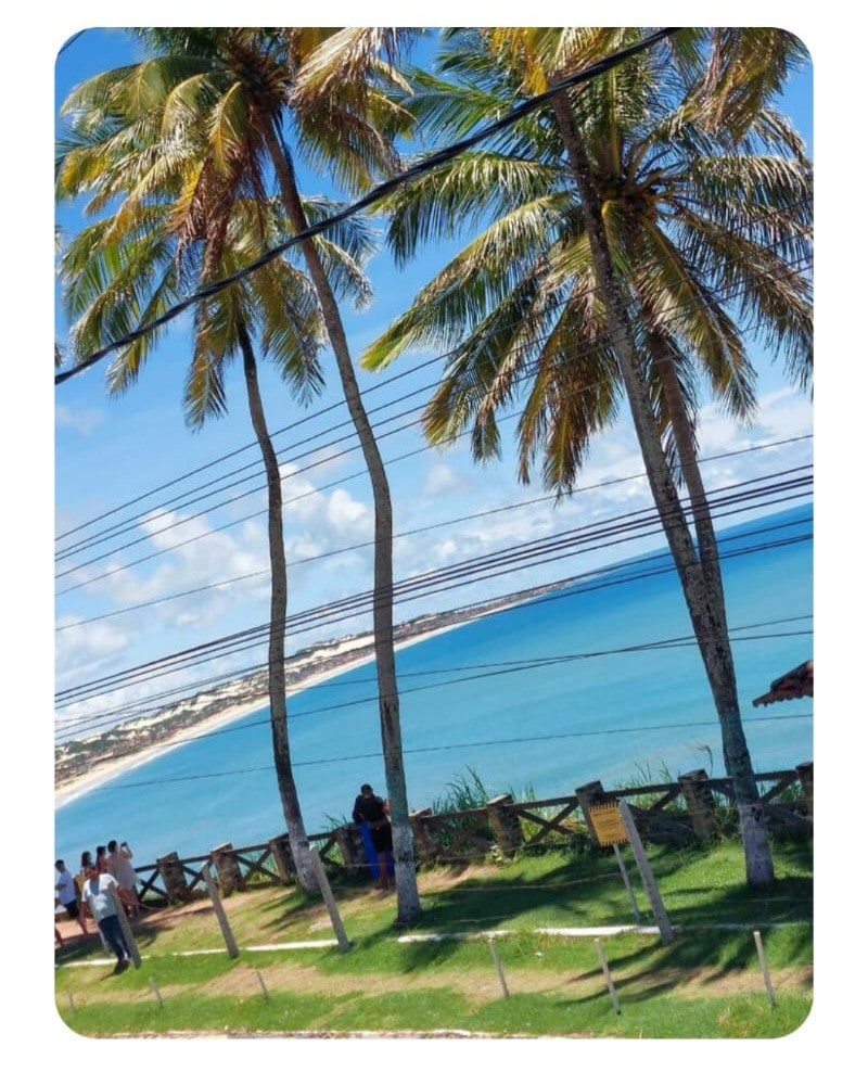 A scenic view features swaying palm trees against a backdrop of a clear blue ocean and sandy beach. A group of individuals can be seen enjoying the space, with fences and greenery framing the landscape. Power lines add a distinctive element to the upper portion of the image.