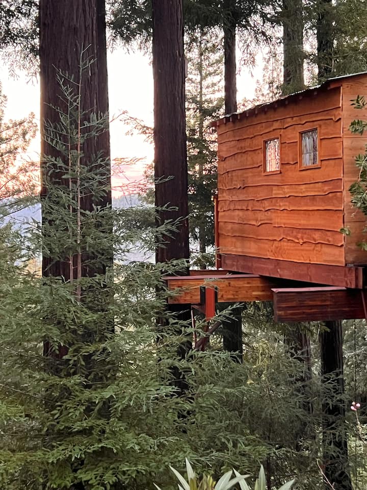 San Francisco Bay Area Treehouse Vacation Rentals - California, United ...