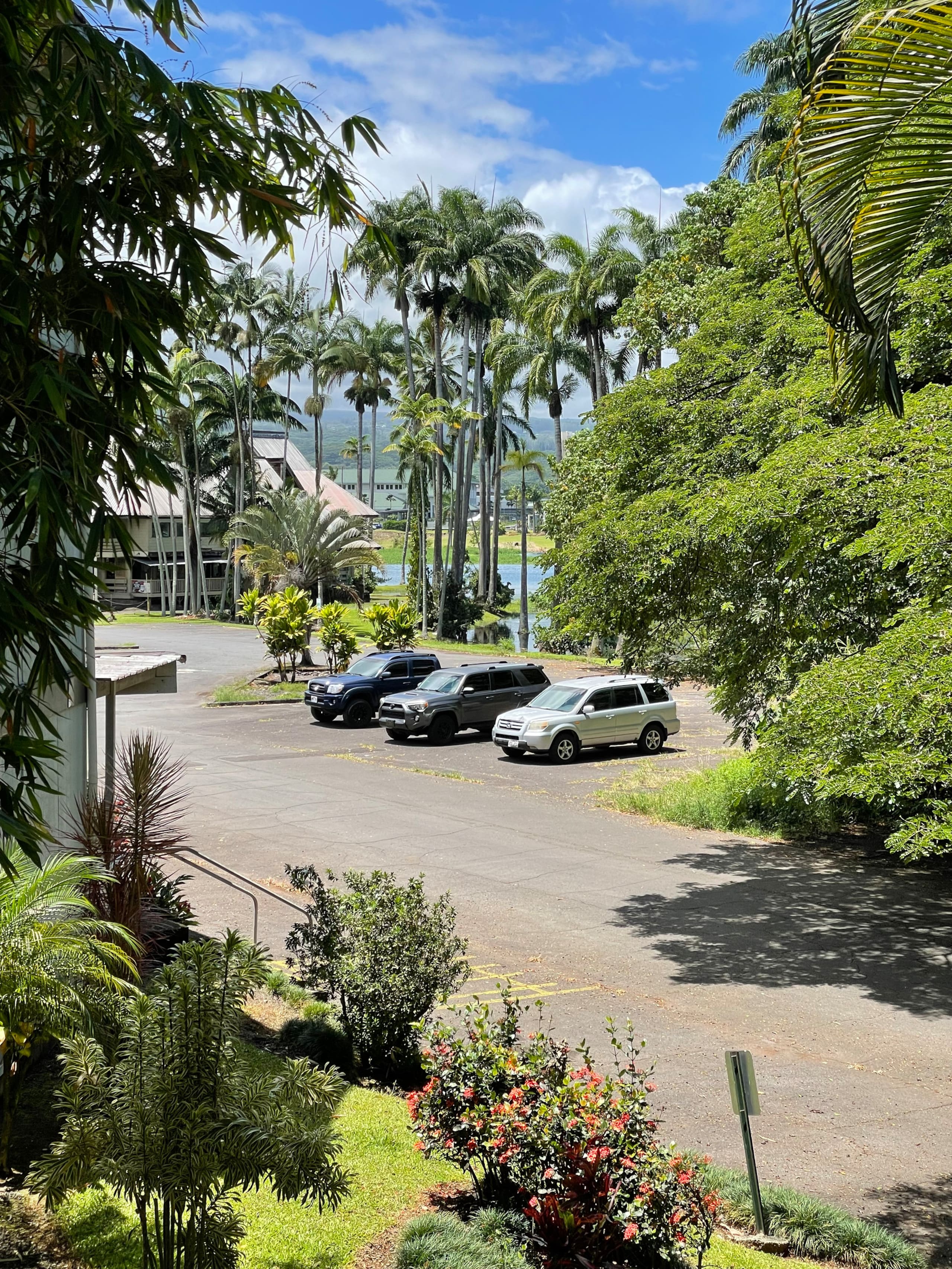 Newly Renovated Cozy 2Br 1Ba Apt in Waiakea Villas - Photo 21