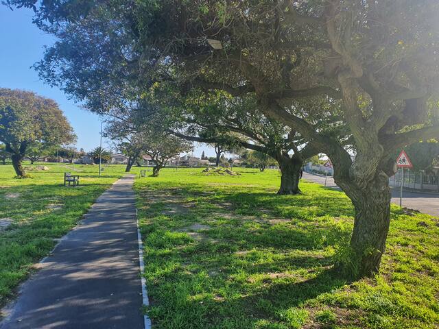 Luxury & Nature in the City, Digital Nomad Haven gallery image 5