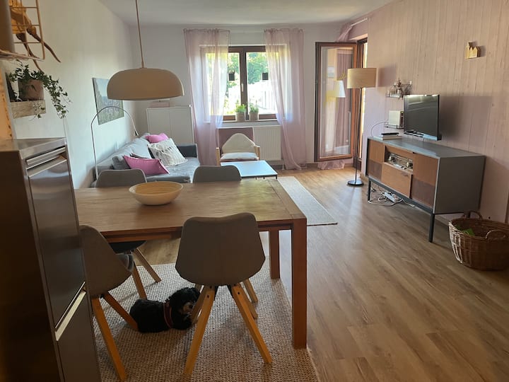 Ferienwohnung  1alage -Citynah - Schlossberg