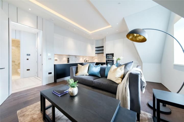 Stunning 2 Bed 2 bath Big Ben w AC