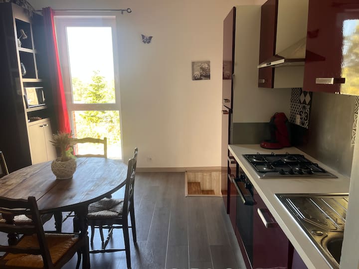 Gîte - Appartement à La Campagne - Tarn