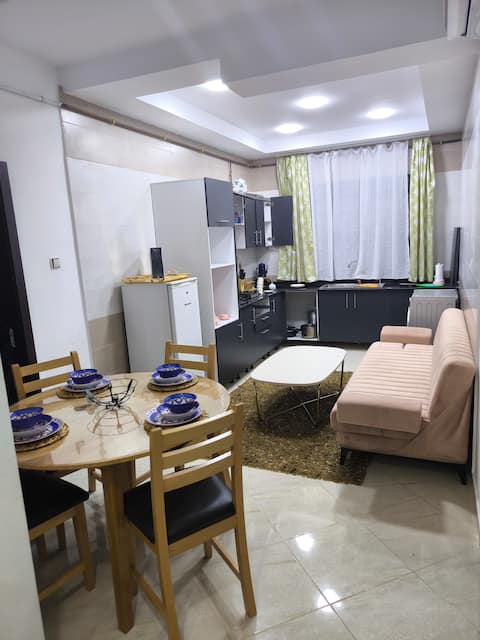 Modern Downtown Apartment