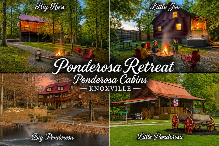 4 Private Cabins16 Acreshot Tubssaunanear Utk - Knoxville, TN