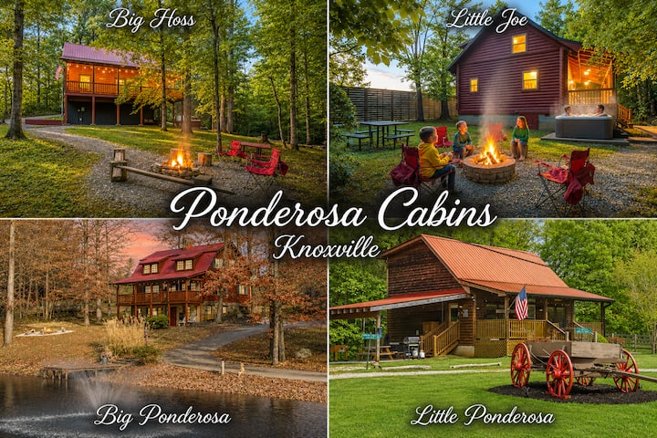 4 Private Cabins16 Acreshot Tubssaunanear Utk - Knoxville, TN