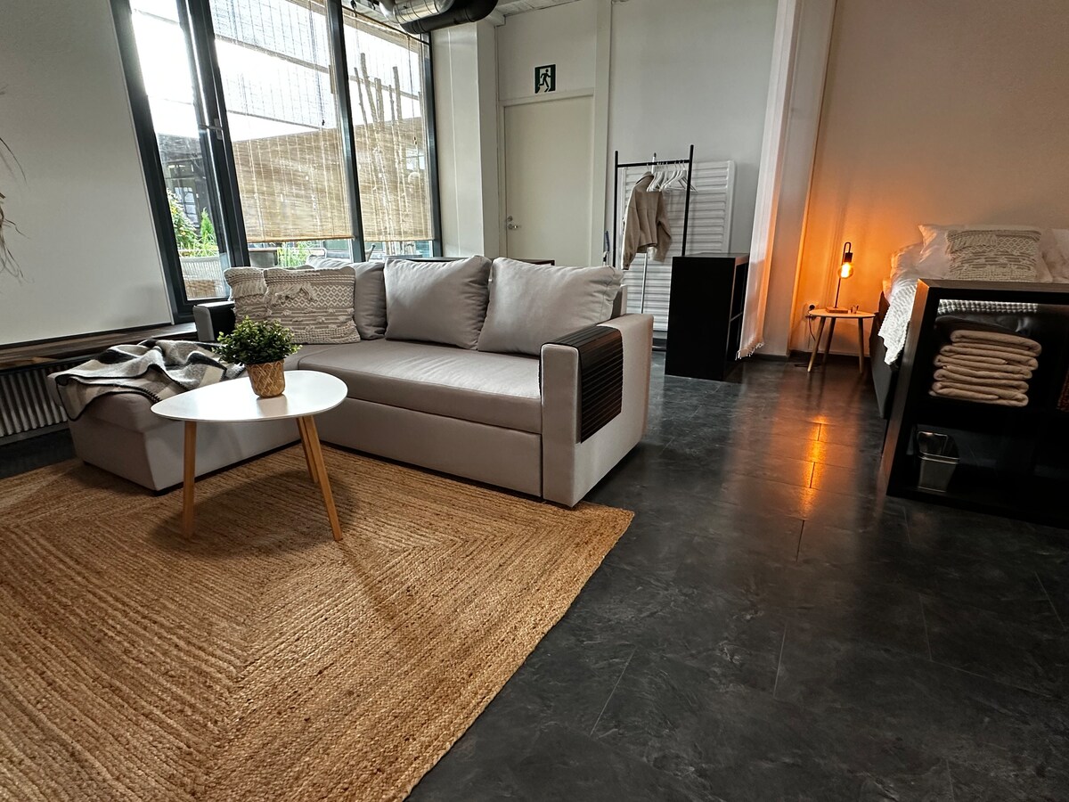 O Sala de estar con sofá cama