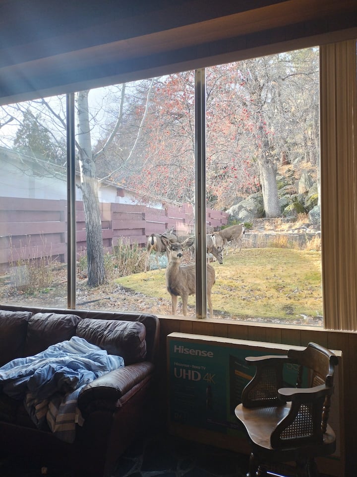 Large House Near River, Lakes, Casino. Sleeps 25 - Susanville, CA