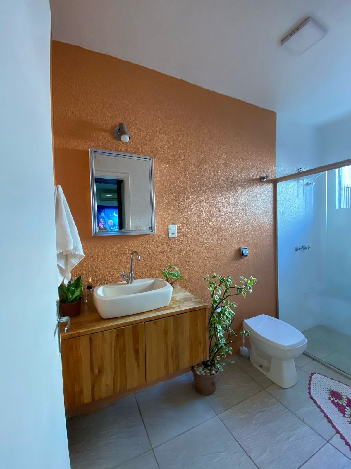 A modern bathroom features a large mirror above a wooden vanity with a sink. Natural light filters in through a glass shower enclosure. A potted plant adds a touch of greenery, while warm orange walls create a calming ambiance.