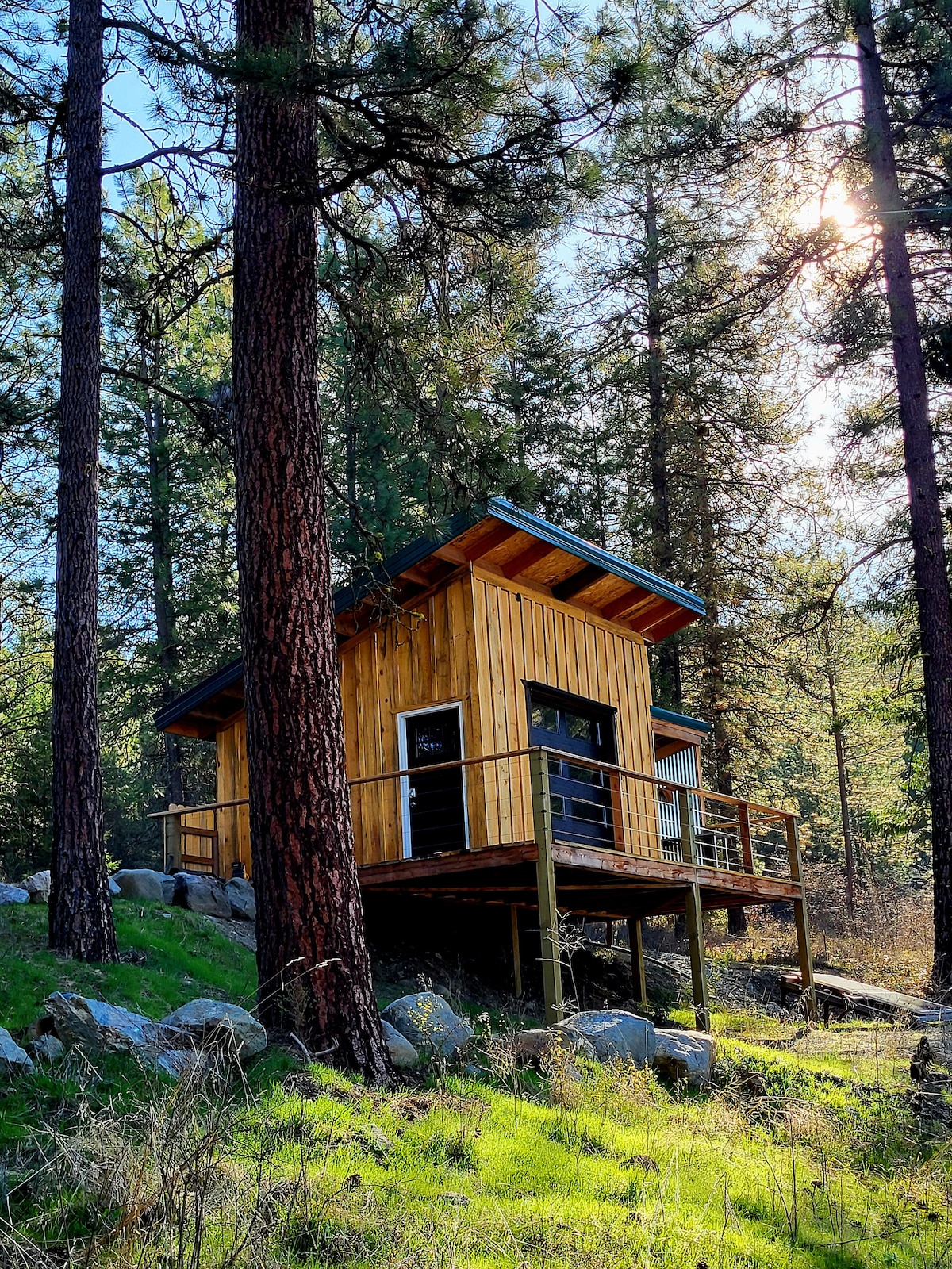A wooden cabin is nestled among tall trees, featuring a sloped roof and large front deck. Natural stone is placed around the base, with green grass and underbrush visible. Sunlight filters through the trees, illuminating the cabin's exterior.