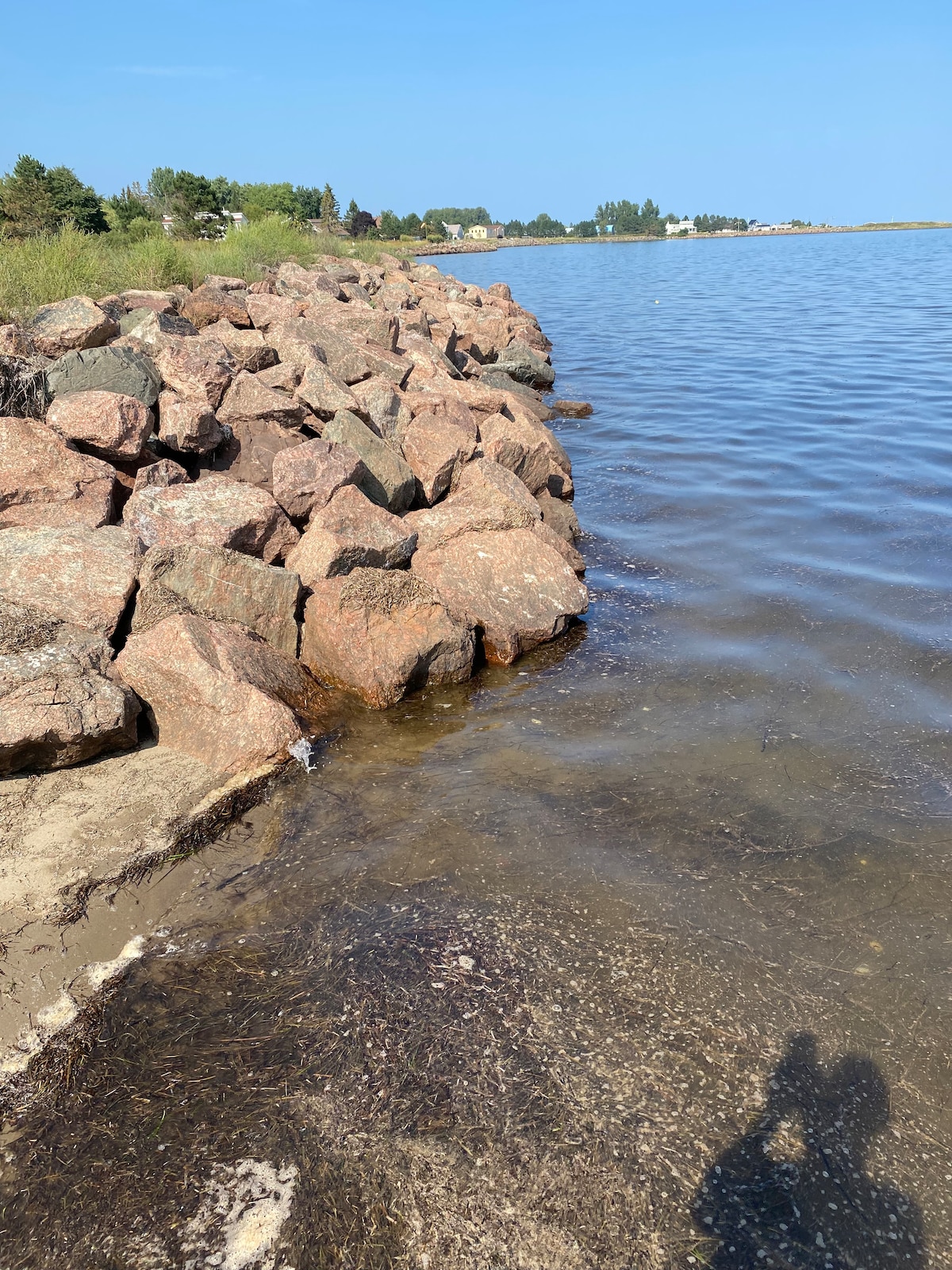 A rocky shoreline gently meets calm waters, with large stones forming a protective barrier along the edge. The sandy beach is visible, with some seaweed scattered along the water's edge. A clear blue sky enhances the serene atmosphere of the bay.