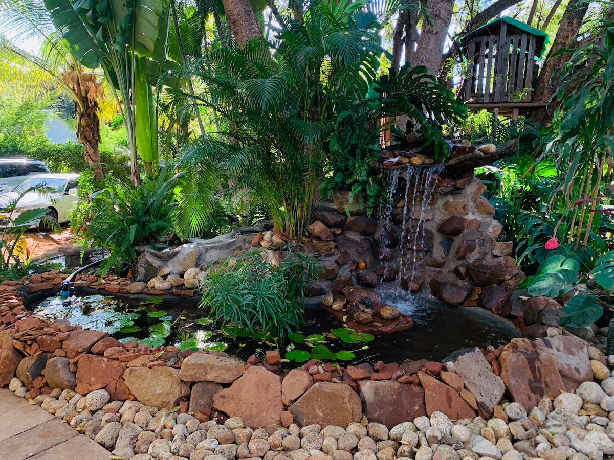 A serene pond is surrounded by natural stone, featuring a gentle waterfall that cascades over rocks. Lush greenery and tropical plants add to the tranquil setting, while lily pads float on the water's surface. A play structure is seen nestled among the trees in the background.