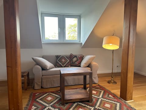 Top Airbnb: Spacious old building apartment in Gründerzeit villa in Dresden