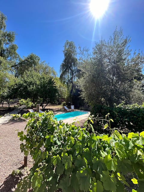 Lodge Baquero among Chardonnay vineyards