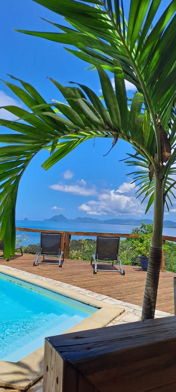 A tranquil outdoor space features a swimming pool bordered by wooden decking. Two lounge chairs are positioned nearby, with a large palm tree creating a lush backdrop. The distant sea and sky are visible, presenting varying shades of blue under a partly cloudy sky.