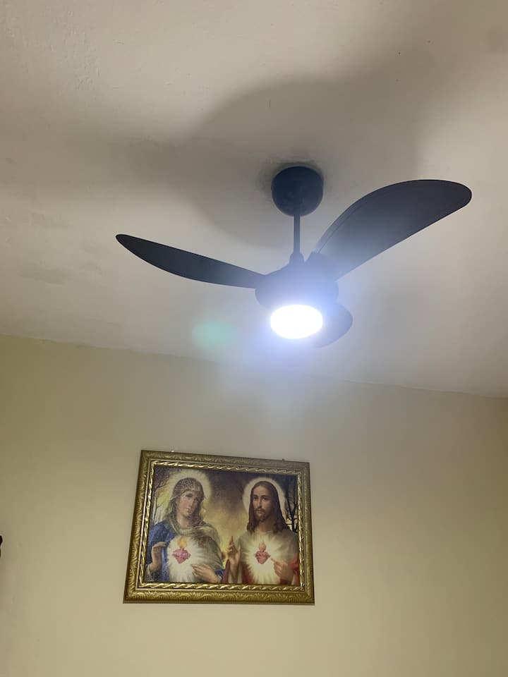 Ventilatore a soffitto con controllo 