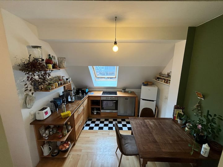 Cozy Flat For Cat Lovers/ Trainstation K-ehrenfeld - Cologne