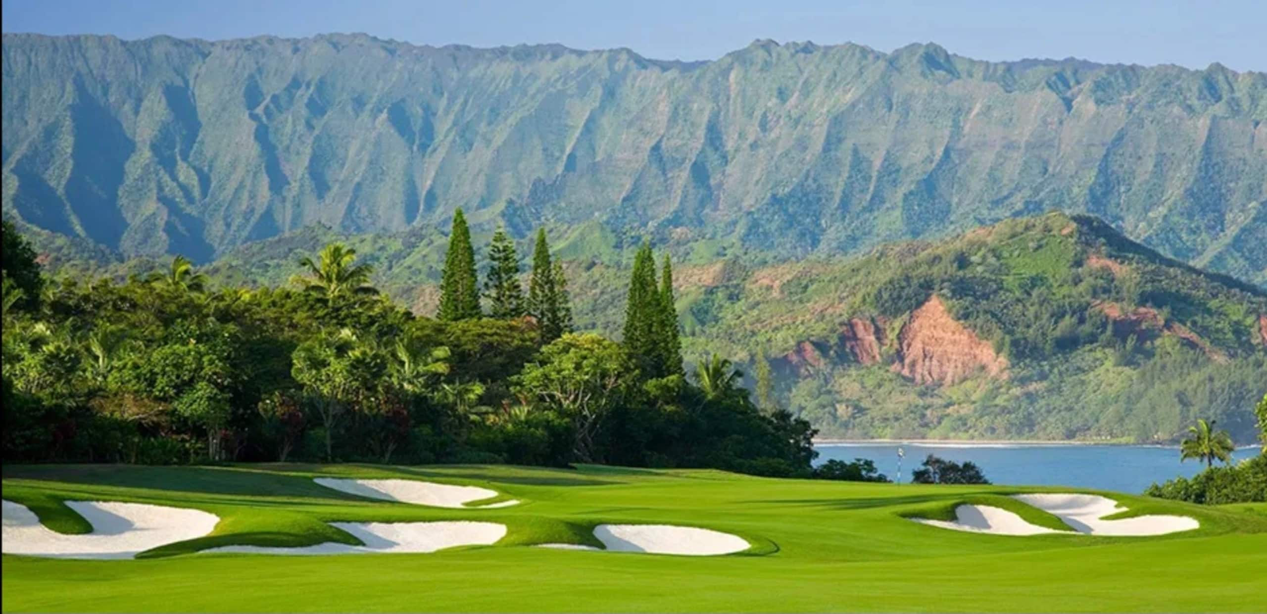 Condo in Princeville · ★4.98 · 1 bedroom · 1 bed · 1 private bath - Image 15