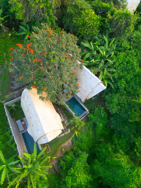 Maha Senja at Mahajiva