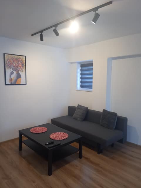 Top Airbnb: Apartment in the center of Katowice in Koszutka