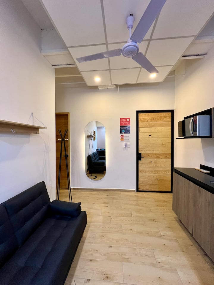 Departamento Carranza Polanco 17 - San Luis Potosí